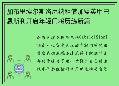 加布里埃尔斯洛尼纳租借加盟英甲巴恩斯利开启年轻门将历练新篇